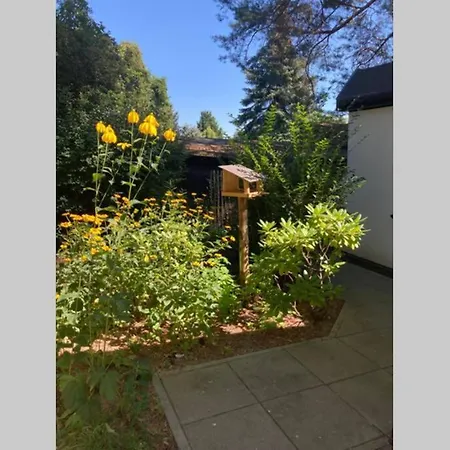 Garden - Welcome To Holiday home *