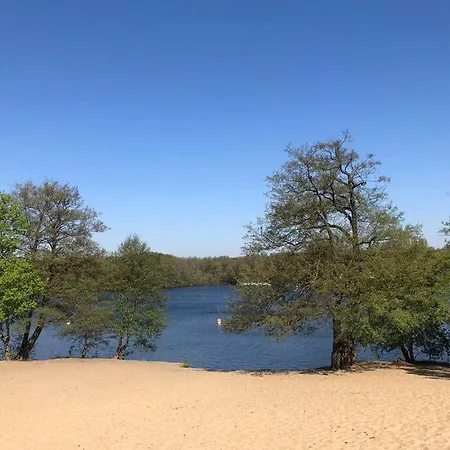 Garden - Welcome To *