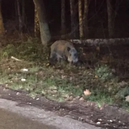 Garden - Welcome To Casa vacanze