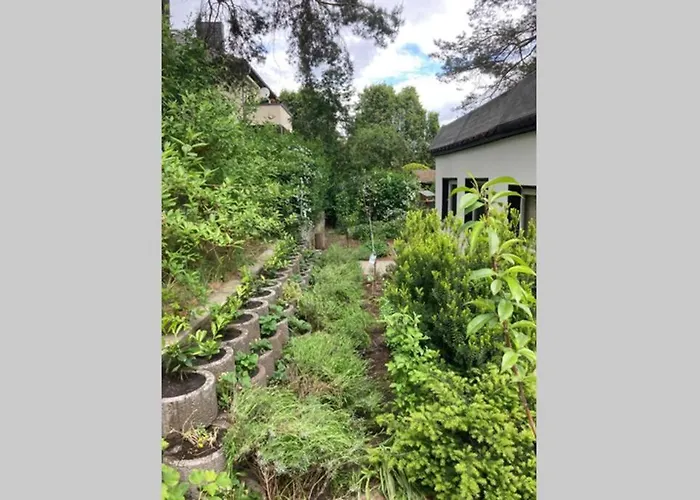 Semesterbostad Garden - Welcome To