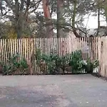 Garden - Welcome To 別荘 ベルリン